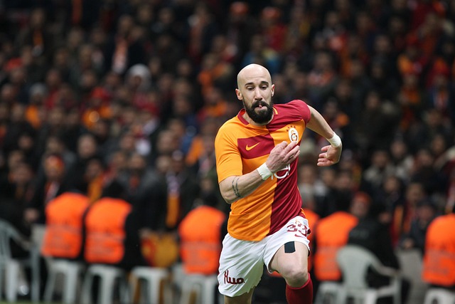 兹密集的反 兹密集的反