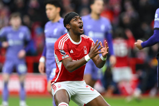 他们可能会 他们可能会